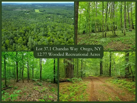 lot37 1 Chandas Way, Otego, NY 13825