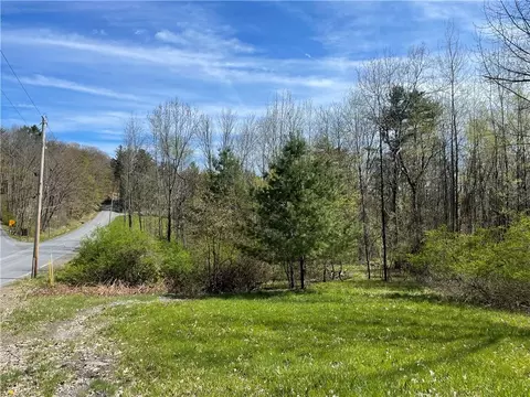 lot Apt 272 Bida Rd, New Berlin, NY 13843