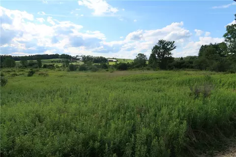 lot2 German Rd, Willet, NY 13863