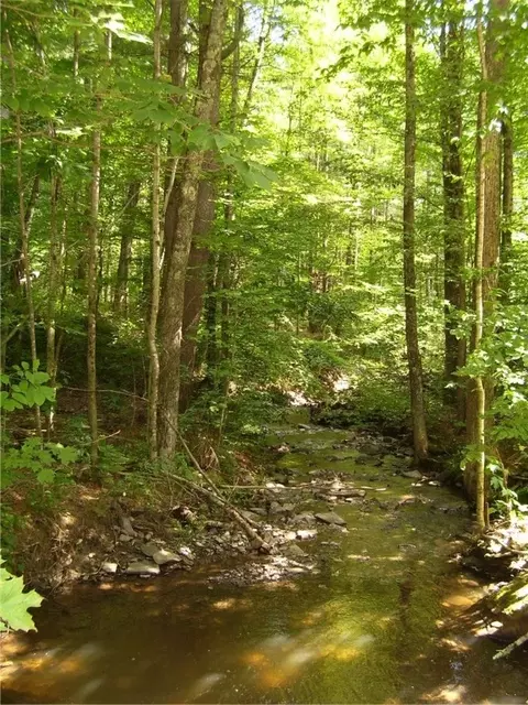 0 Robinson Road Ext, Guilford, NY 13780