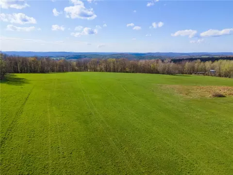650 Taylor Rd, Butternuts, NY 13776