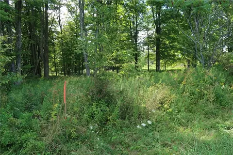 lot5 German Rd, Willet, NY 13863