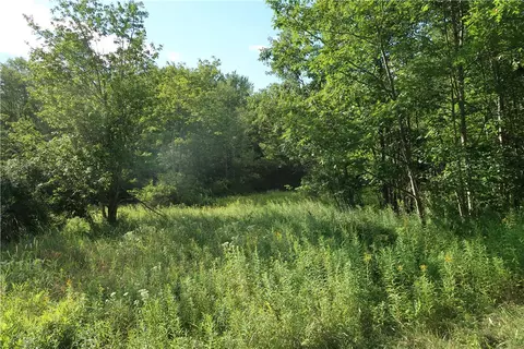 lot6 German Rd, Willet, NY 13863