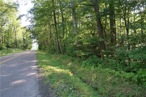 lot8 German Rd, Willet, NY 13863