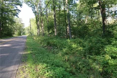 lot9 German Rd, Willet, NY 13863