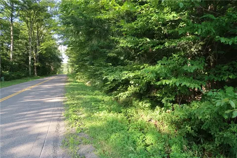 lot10 German Rd, Willet, NY 13863