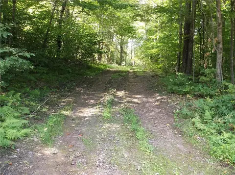 0 Freer Hollow Rd, Franklin, NY 13775