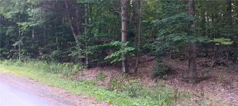 185 Eagle Mountain Rd, Summit, NY 12175