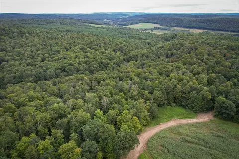 00 Gilkie Hill Rd, Tioga, NY 13734