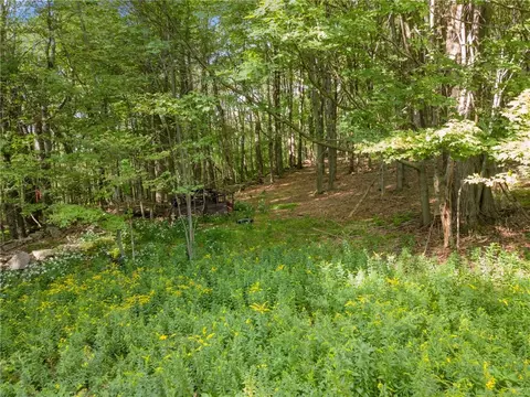 2468 Tower Mountain Rd, Stamford, NY 12167