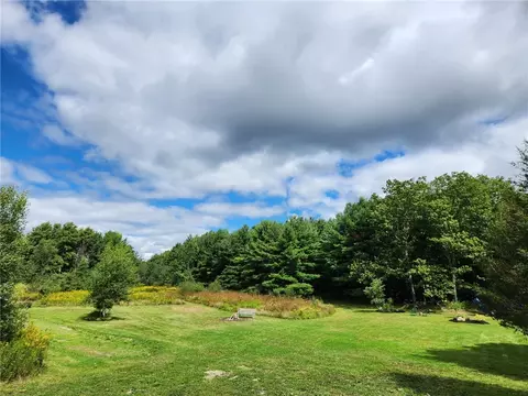 6595 Baker Rd, Prattsburgh, NY 14873 photo 21