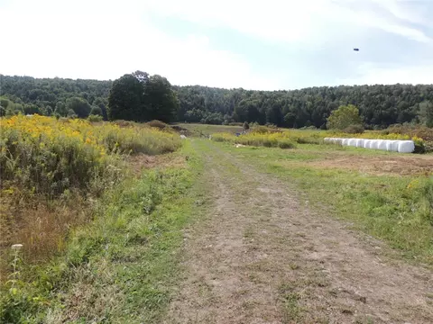 2292 County Highway 18, Morris, NY 13843