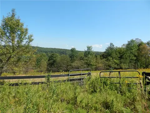 0 County Route 13, Pittsfield, NY 13411