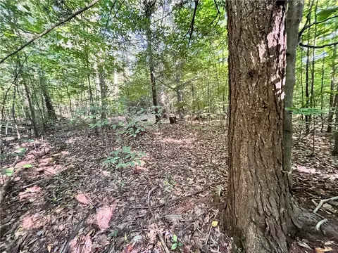 lot3 Lockwood Run Rd E, Baldwin, NY 14902