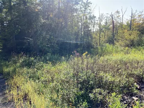 454 Ouaquaga Rd, Colesville, NY 13904