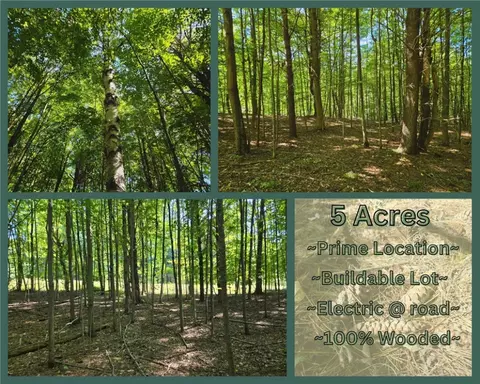 lot13 Canterbury Ln, Davenport, NY 13750