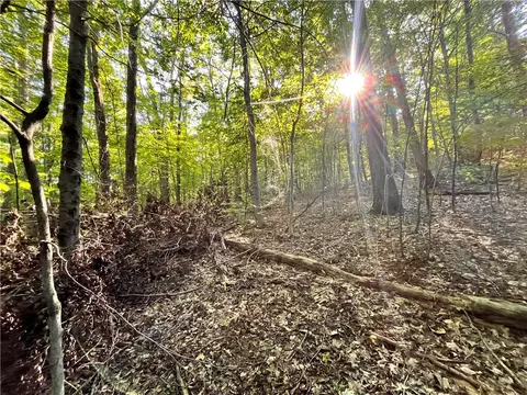 lot4 Porter Hill Rd E, Baldwin, NY 14902 photo 8
