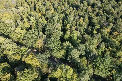 lot4 Porter Hill Rd E, Baldwin, NY 14902 photo 3