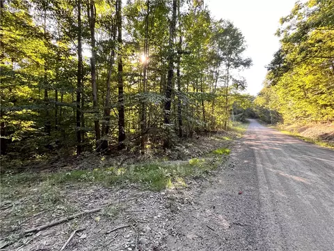 lot4 Porter Hill Rd E, Baldwin, NY 14902 photo 15