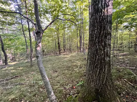 lot4 Porter Hill Rd E, Baldwin, NY 14902 photo 5