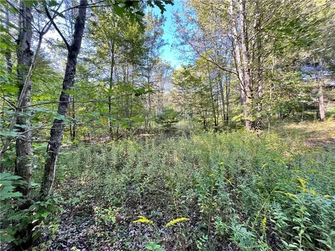 lot4 Porter Hill Rd E, Baldwin, NY 14902 photo 14