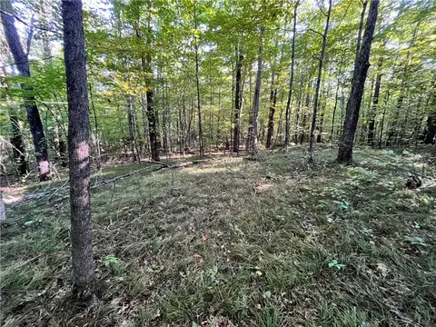 lot4 Porter Hill Rd E, Baldwin, NY 14902 photo 6