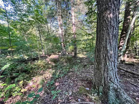 lot4 Porter Hill Rd E, Baldwin, NY 14902 photo 12