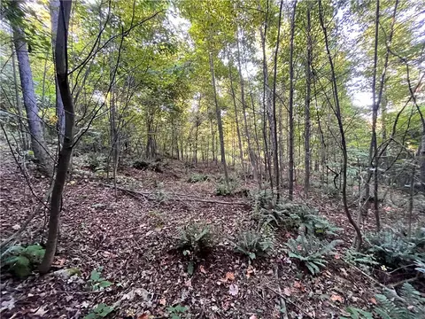 lot4 Porter Hill Rd E, Baldwin, NY 14902 photo 10