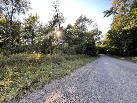 lot4 Porter Hill Rd E, Baldwin, NY 14902
