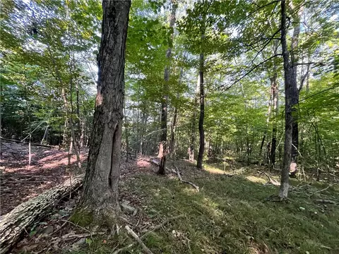 lot4 Porter Hill Rd E, Baldwin, NY 14902 photo 7