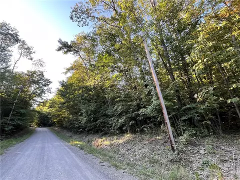 lot4 Porter Hill Rd E, Baldwin, NY 14902 photo 17
