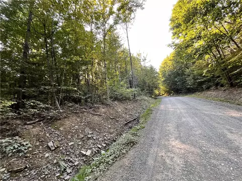 lot4 Porter Hill Rd E, Baldwin, NY 14902 photo 18