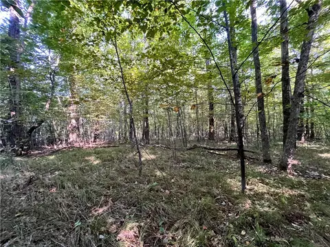 lot4 Porter Hill Rd E, Baldwin, NY 14902 photo 4