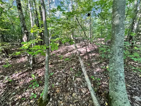 lot4 Porter Hill Rd E, Baldwin, NY 14902 photo 13