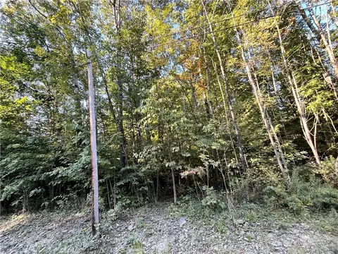 lot4 Porter Hill Rd E, Baldwin, NY 14902 photo 16