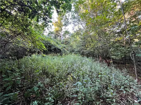 lot4 Porter Hill Rd E, Baldwin, NY 14902 photo 11