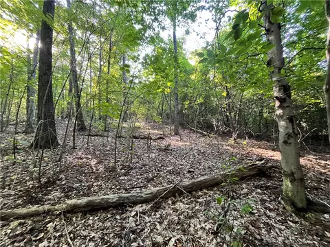 lot4 Porter Hill Rd E, Baldwin, NY 14902 photo 9