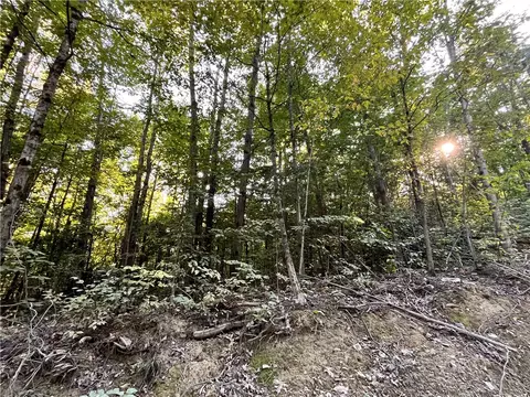 lot4 Porter Hill Rd E, Baldwin, NY 14902 photo 19