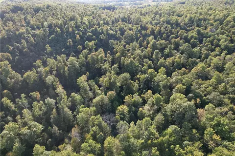 lot4 Porter Hill Rd E, Baldwin, NY 14902 photo 2