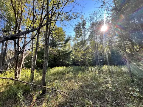 lot5 Porter Hill Rd E, Baldwin, NY 14902