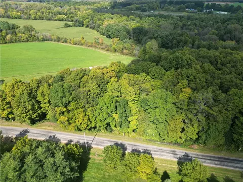 8646 Helch Rd, Lyons, NY 14489 photo 5