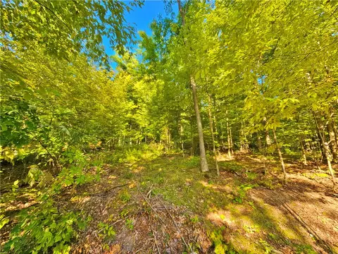 00 Esperanza Rd, Jerusalem, NY 14478 photo 23