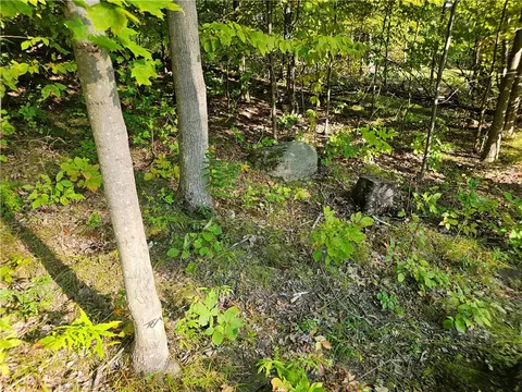 00 Esperanza Rd, Jerusalem, NY 14478 photo 27