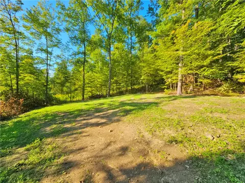 00 Esperanza Rd, Jerusalem, NY 14478 photo 22