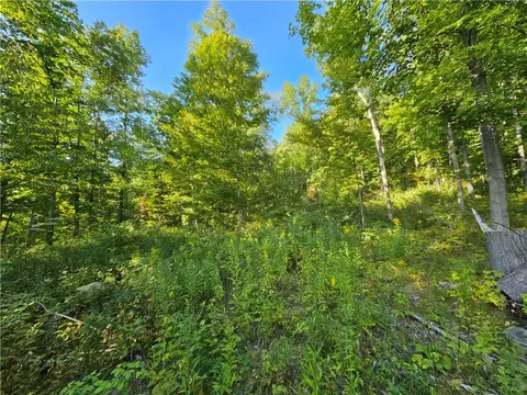 00 Esperanza Rd, Jerusalem, NY 14478 photo 28