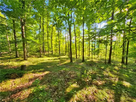 00 Esperanza Rd, Jerusalem, NY 14478 photo 26