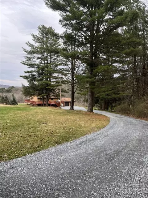 4456 Parker Hollow Rd, Sidney, NY 13838