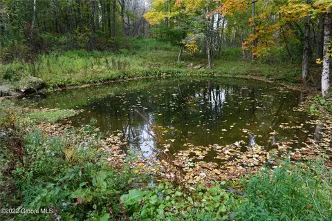 164 Dragoo Rd, Maryland, NY 12155 photo 8