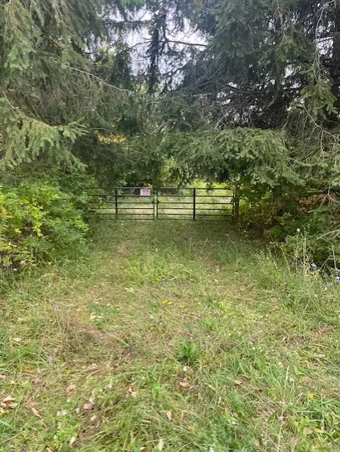 7006 Stagecoach Rd, Conesus, NY 14435