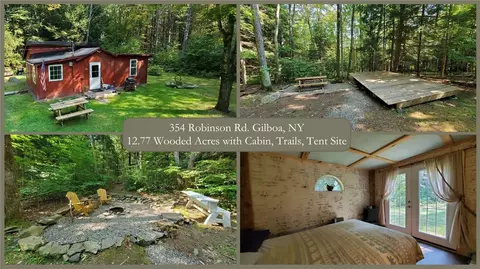 354 Robinson Rd, Conesville, NY 12076